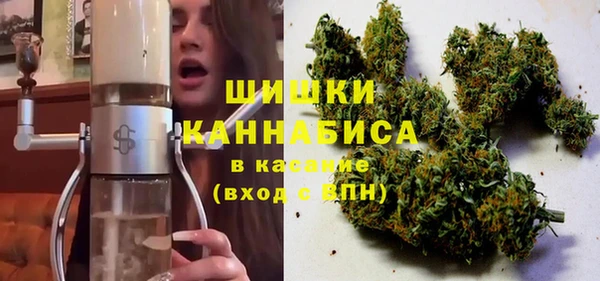 сатива Киреевск